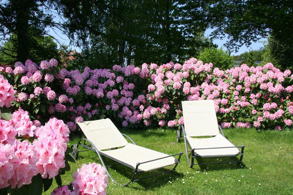 Pension Villa Edelweiss Sellin  ภายนอก รูปภาพ