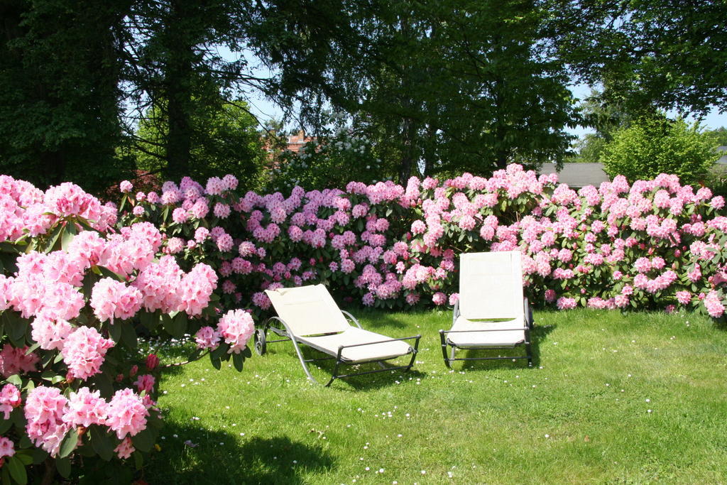 Pension Villa Edelweiss Sellin  ภายนอก รูปภาพ